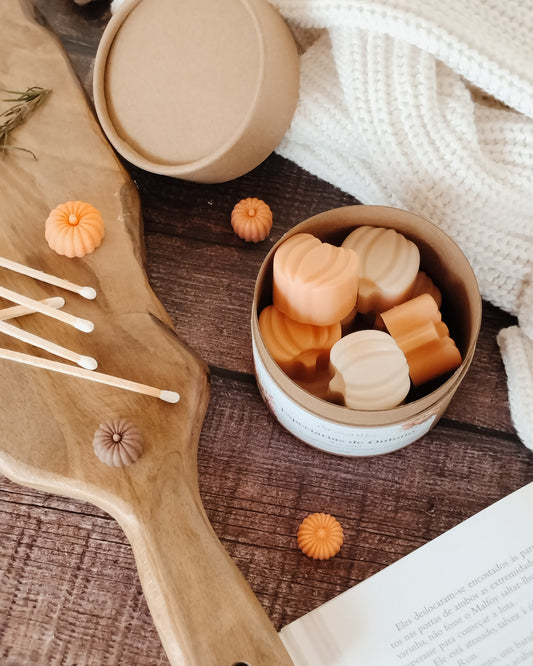 Especiarias de Outono - Wax Melts