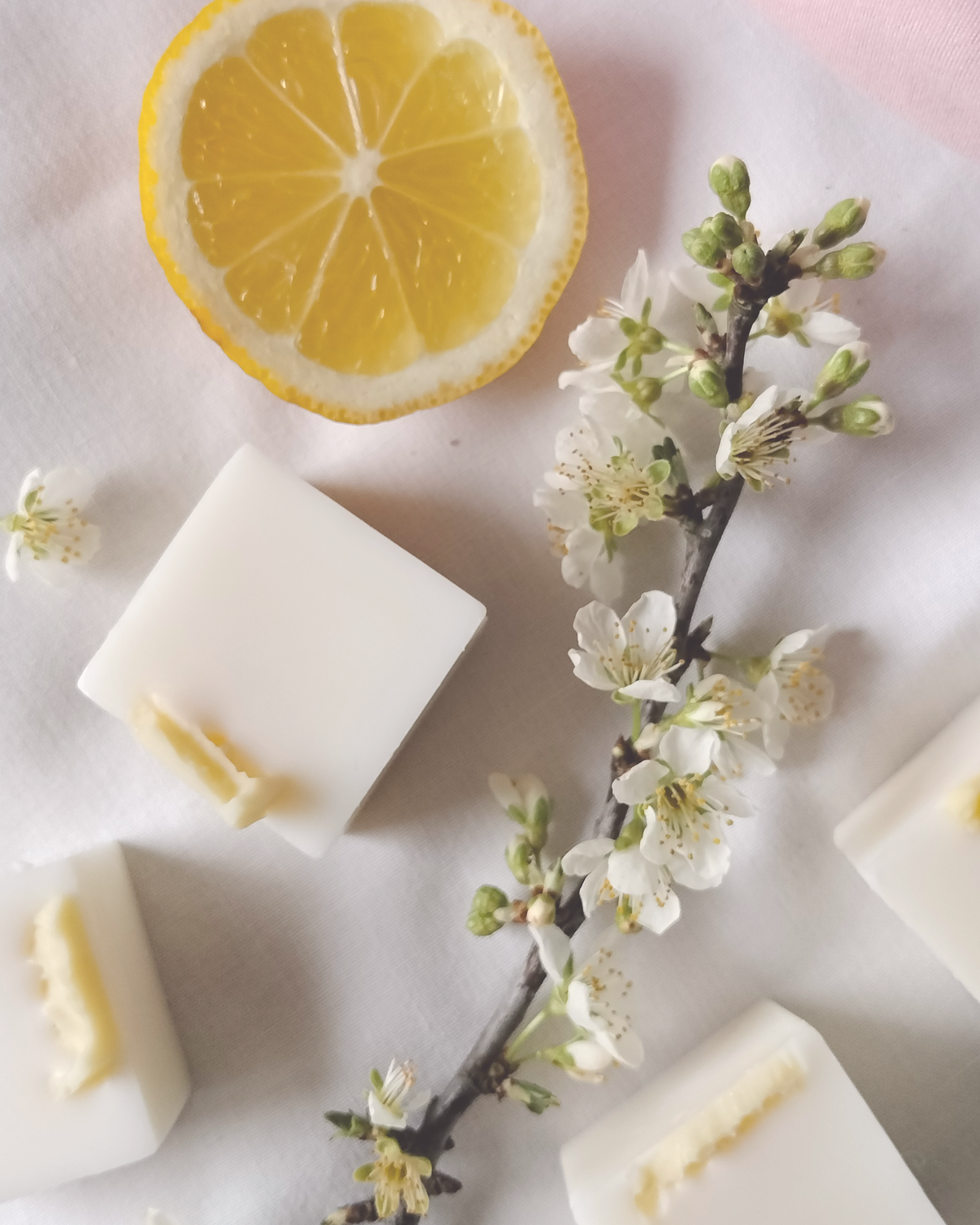 Wax melts - Doce e ligeiramente atrevido