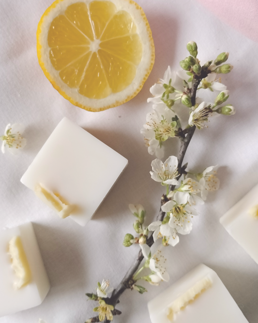 Wax melts - Doce e ligeiramente atrevido
